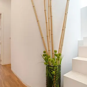 Genteel Santa Teresa Apartment